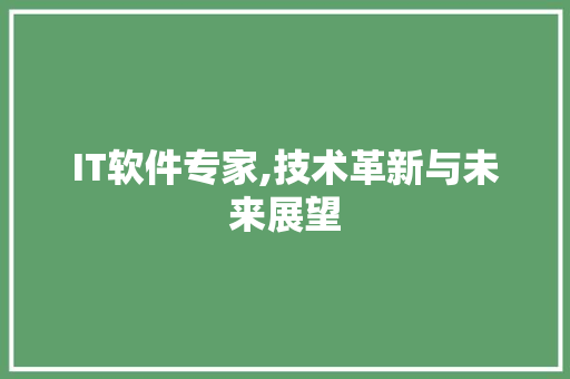 IT软件专家,技术革新与未来展望