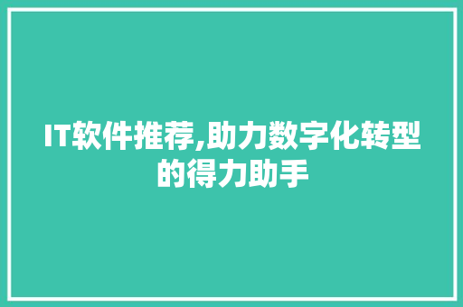 IT软件推荐,助力数字化转型的得力助手 SEO教程