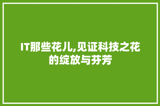 IT那些花儿,见证科技之花的绽放与芬芳