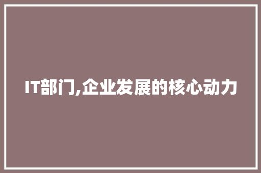 IT部门,企业发展的核心动力