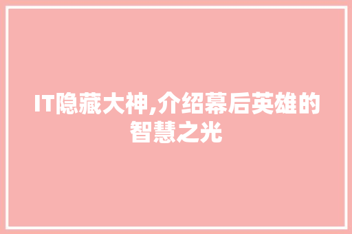 IT隐藏大神,介绍幕后英雄的智慧之光
