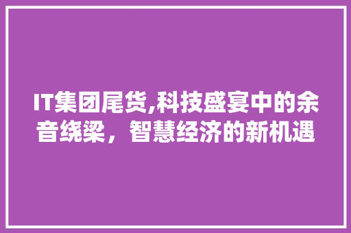 IT集团尾货,科技盛宴中的余音绕梁，智慧经济的新机遇