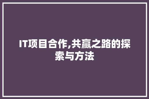 IT项目合作,共赢之路的探索与方法