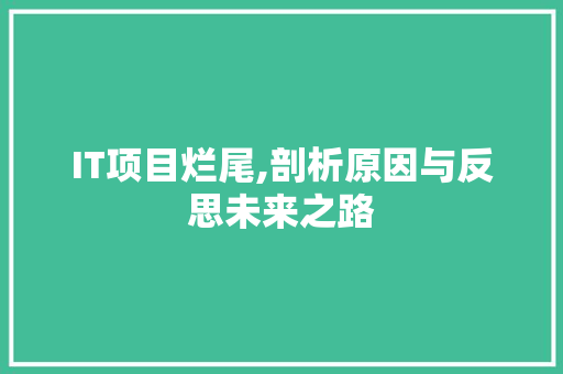 IT项目烂尾,剖析原因与反思未来之路