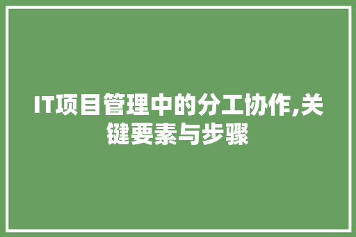 IT项目管理中的分工协作,关键要素与步骤 建站教程