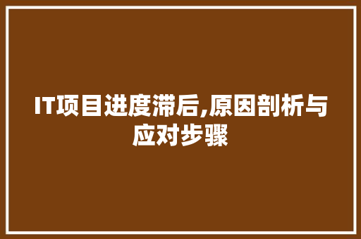 IT项目进度滞后,原因剖析与应对步骤