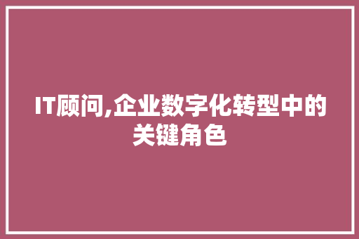 IT顾问,企业数字化转型中的关键角色 WordPress教程