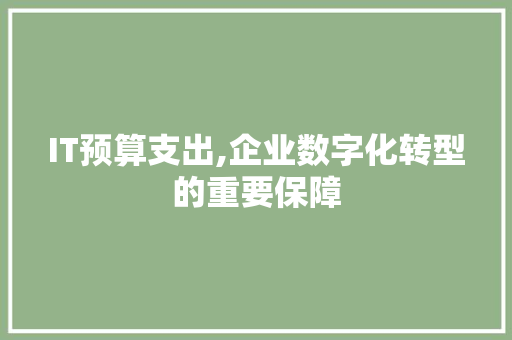 IT预算支出,企业数字化转型的重要保障