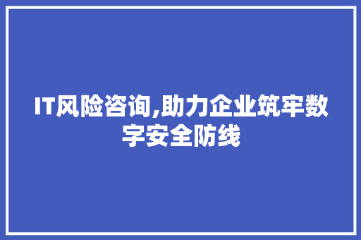 IT风险咨询,助力企业筑牢数字安全防线