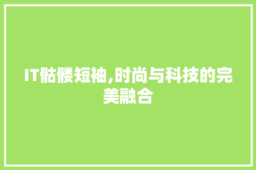 IT骷髅短袖,时尚与科技的完美融合