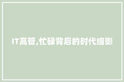 IT高管,忙碌背后的时代缩影 Web前端