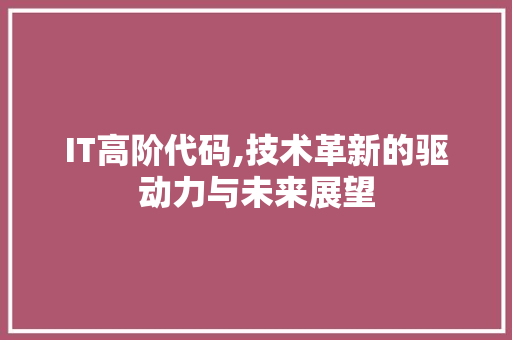 IT高阶代码,技术革新的驱动力与未来展望 Web前端