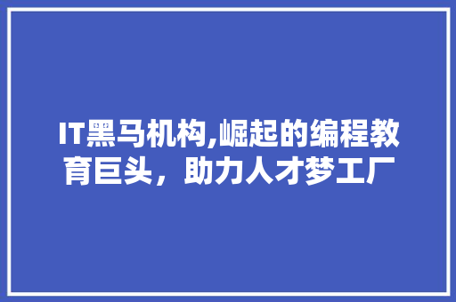 IT黑马机构,崛起的编程教育巨头，助力人才梦工厂