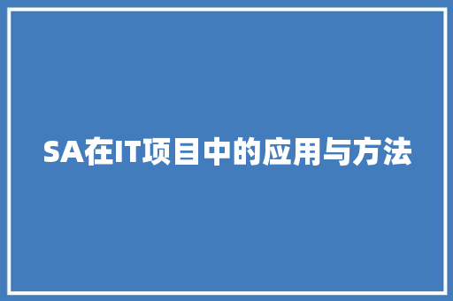 SA在IT项目中的应用与方法