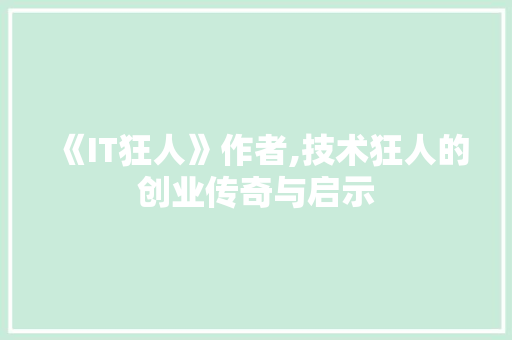 《IT狂人》作者,技术狂人的创业传奇与启示 服务器/数据库