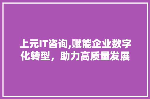 上元IT咨询,赋能企业数字化转型，助力高质量发展