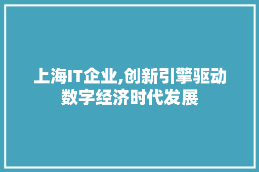 上海IT企业,创新引擎驱动数字经济时代发展 SEO教程