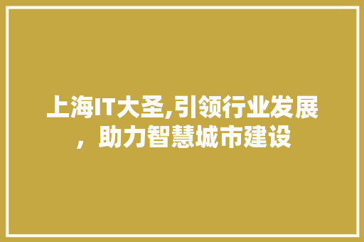 上海IT大圣,引领行业发展，助力智慧城市建设