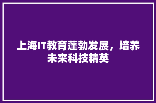 上海IT教育蓬勃发展，培养未来科技精英