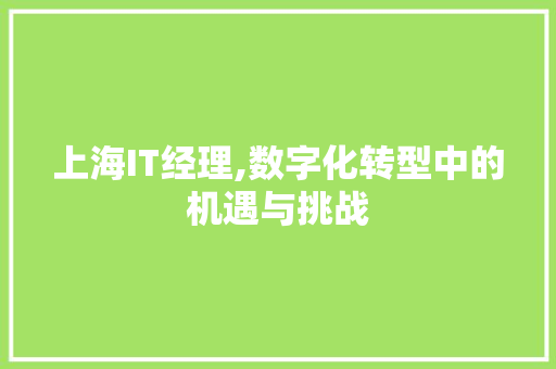 上海IT经理,数字化转型中的机遇与挑战
