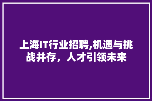 上海IT行业招聘,机遇与挑战并存，人才引领未来 友链在线
