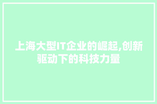 上海大型IT企业的崛起,创新驱动下的科技力量