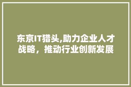 东京IT猎头,助力企业人才战略，推动行业创新发展 SEO教程