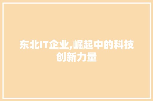 东北IT企业,崛起中的科技创新力量