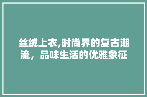 丝绒上衣,时尚界的复古潮流，品味生活的优雅象征 建站教程