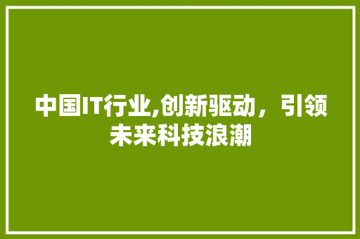 中国IT行业,创新驱动，引领未来科技浪潮