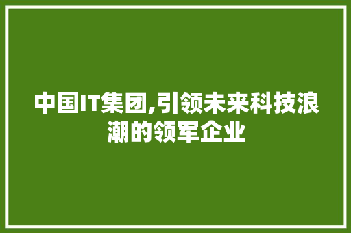 中国IT集团,引领未来科技浪潮的领军企业