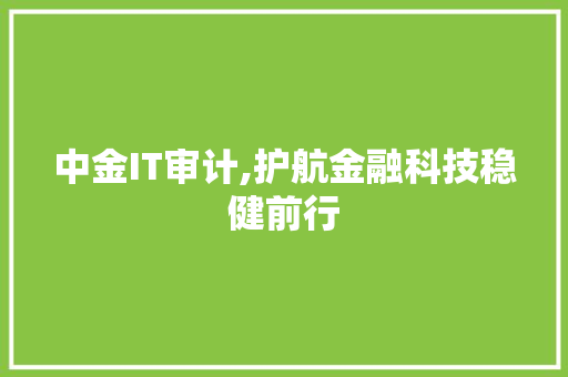 中金IT审计,护航金融科技稳健前行