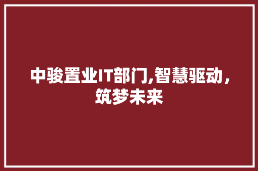 中骏置业IT部门,智慧驱动，筑梦未来