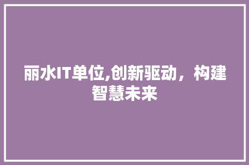 丽水IT单位,创新驱动，构建智慧未来