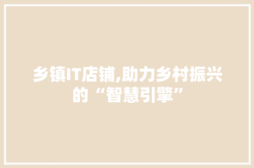 乡镇IT店铺,助力乡村振兴的“智慧引擎”