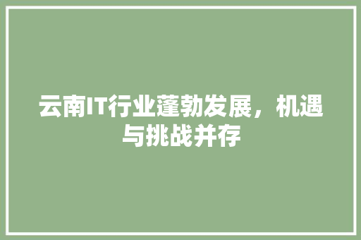 云南IT行业蓬勃发展，机遇与挑战并存 服务器/数据库