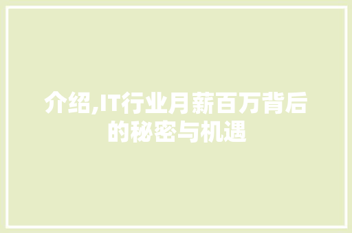 介绍,IT行业月薪百万背后的秘密与机遇