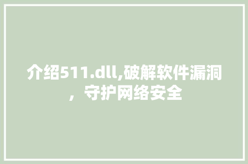 介绍511.dll,破解软件漏洞，守护网络安全