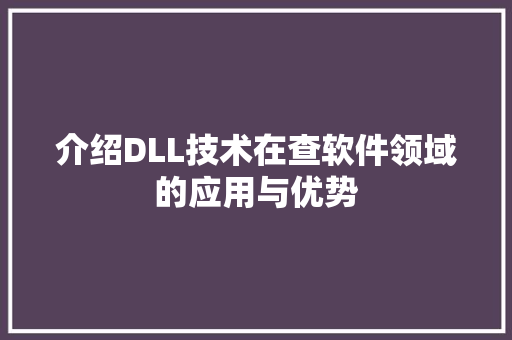 介绍DLL技术在查软件领域的应用与优势
