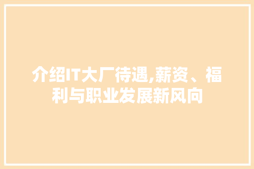 介绍IT大厂待遇,薪资、福利与职业发展新风向
