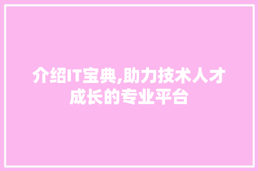 介绍IT宝典,助力技术人才成长的专业平台
