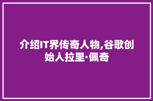 介绍IT界传奇人物,谷歌创始人拉里·佩奇 建站教程