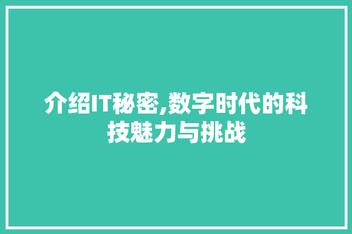介绍IT秘密,数字时代的科技魅力与挑战