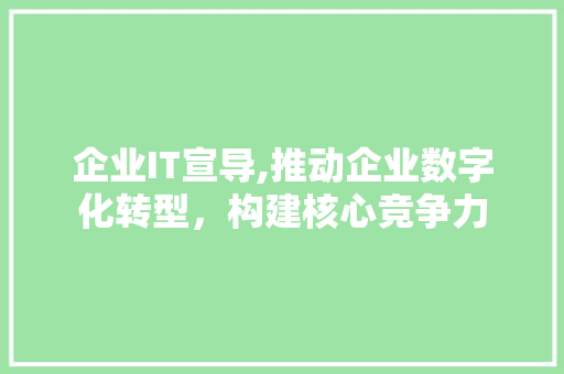 企业IT宣导,推动企业数字化转型，构建核心竞争力