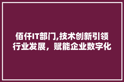 佰仟IT部门,技术创新引领行业发展，赋能企业数字化转型