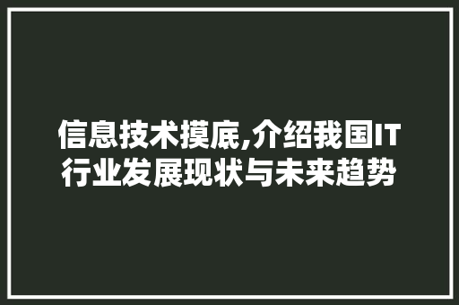 信息技术摸底,介绍我国IT行业发展现状与未来趋势