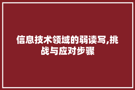 信息技术领域的弱读写,挑战与应对步骤