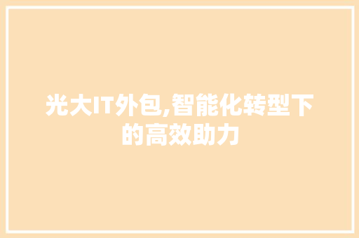 光大IT外包,智能化转型下的高效助力 Web前端