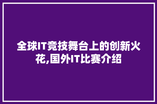 全球IT竞技舞台上的创新火花,国外IT比赛介绍