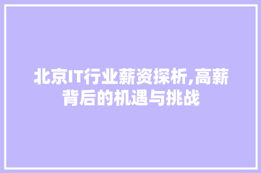 北京IT行业薪资探析,高薪背后的机遇与挑战